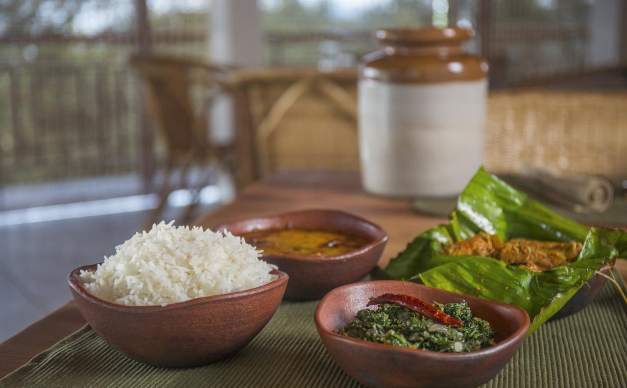Meppādi After The Rains - Rainforest Lodge מראה חיצוני תמונה